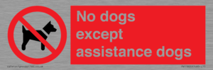 No dogs except assistance dogs